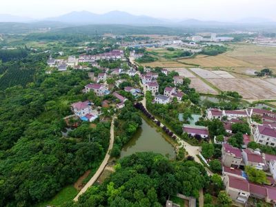 植綠不止，春山可望！馬鞍山市這個縣扛起高質(zhì)量發(fā)展“綠色擔(dān)當(dāng)”