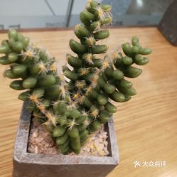 馬鞍山雨山區面包飲品團購指南 價格、地址、營業時間及美食推薦